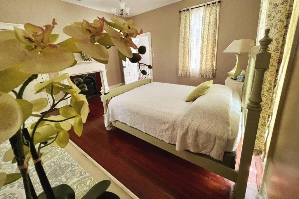Agatha'S Historic Home Free Parking Wi-Fi Deck Mobile Bagian luar foto